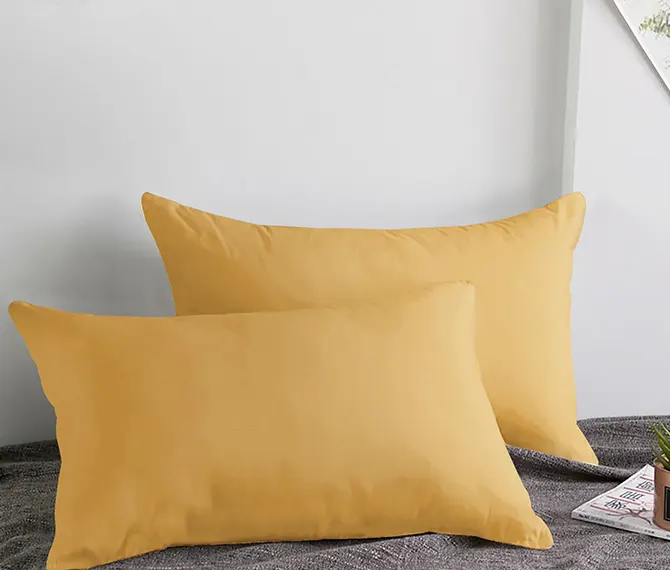  Porfolio Image